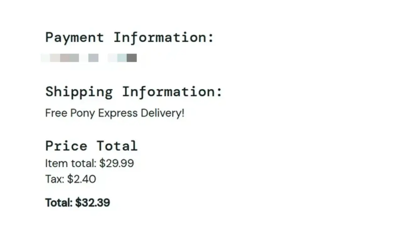 A close-up of a checkout step: under “Payment Information:”, the card number is pixelated by an applied blur.